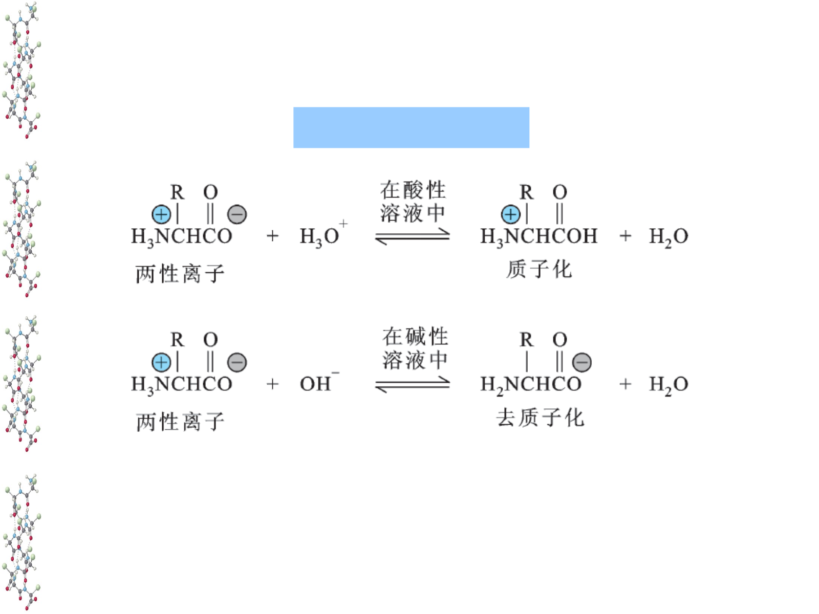 氨基酸在酸性和碱性环境中的两性离解图