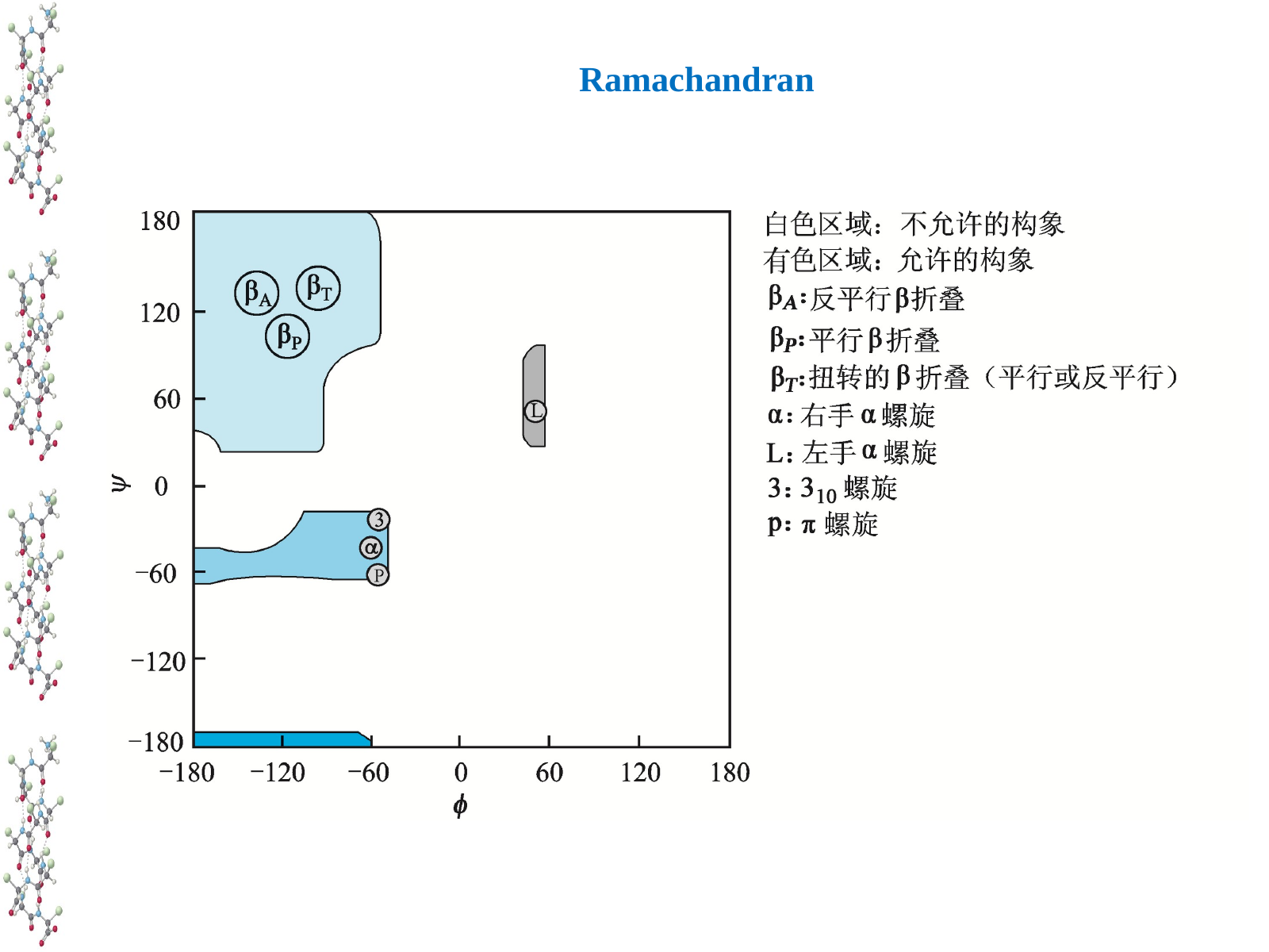 Ramachandran 图，显示允许的 φ 和 ψ 二面角区域